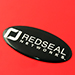 Redseal Networks Dome Label